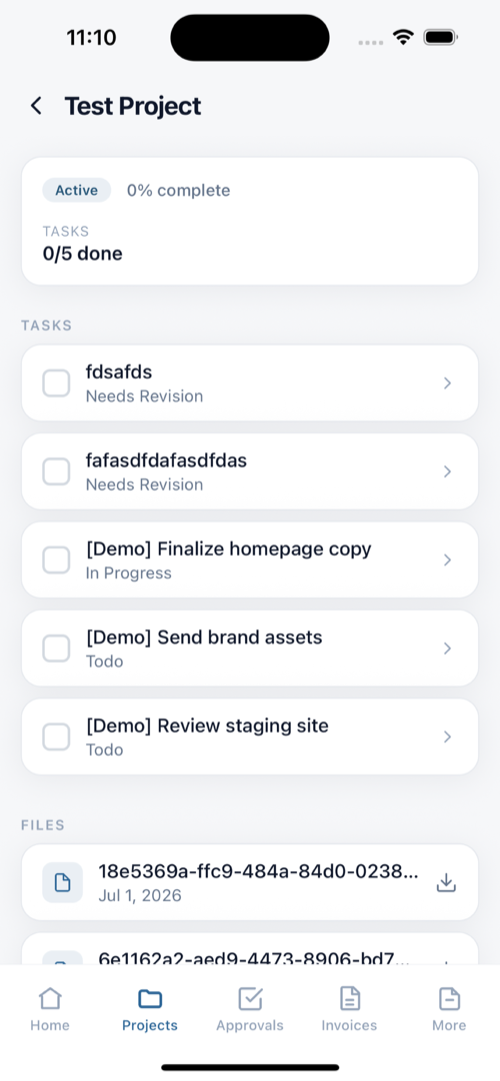 Project screen