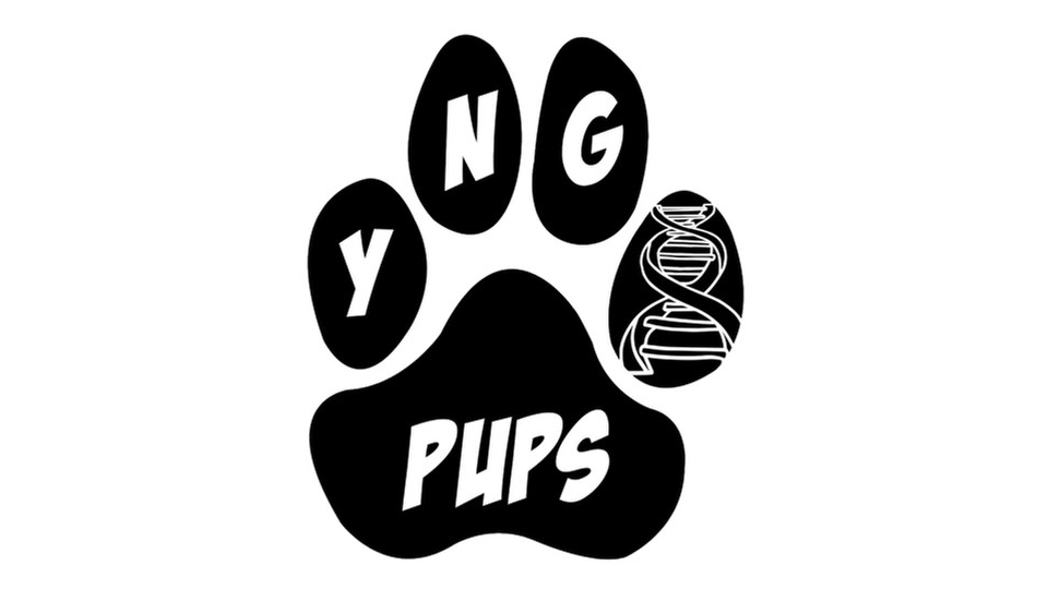 YNG Pups